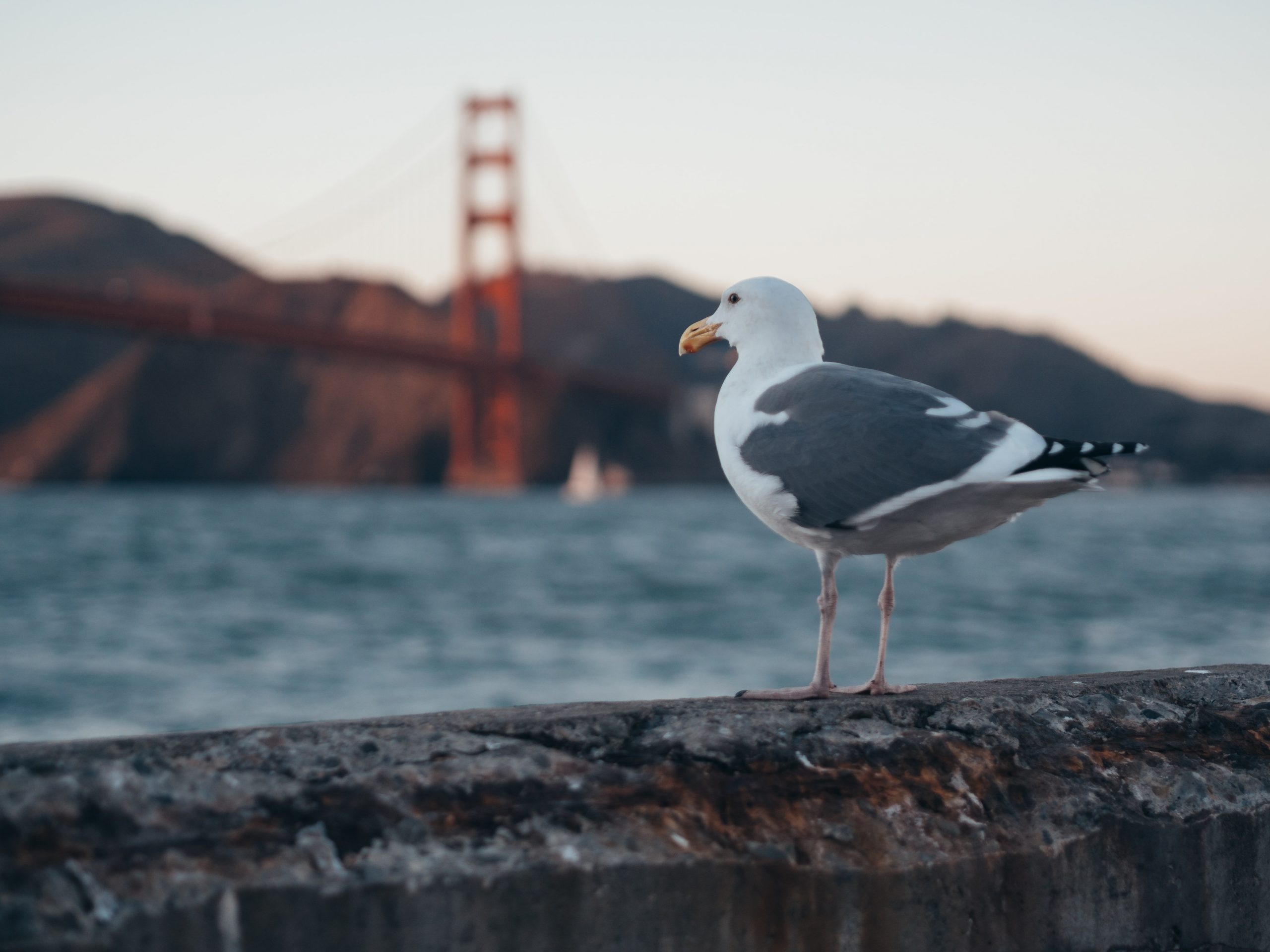 Photo by Robin Spielmann on Unsplash